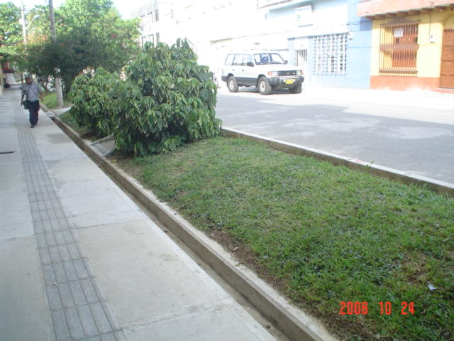 circuito-orfelinato-5
